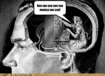 male mind