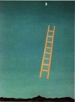 ladder